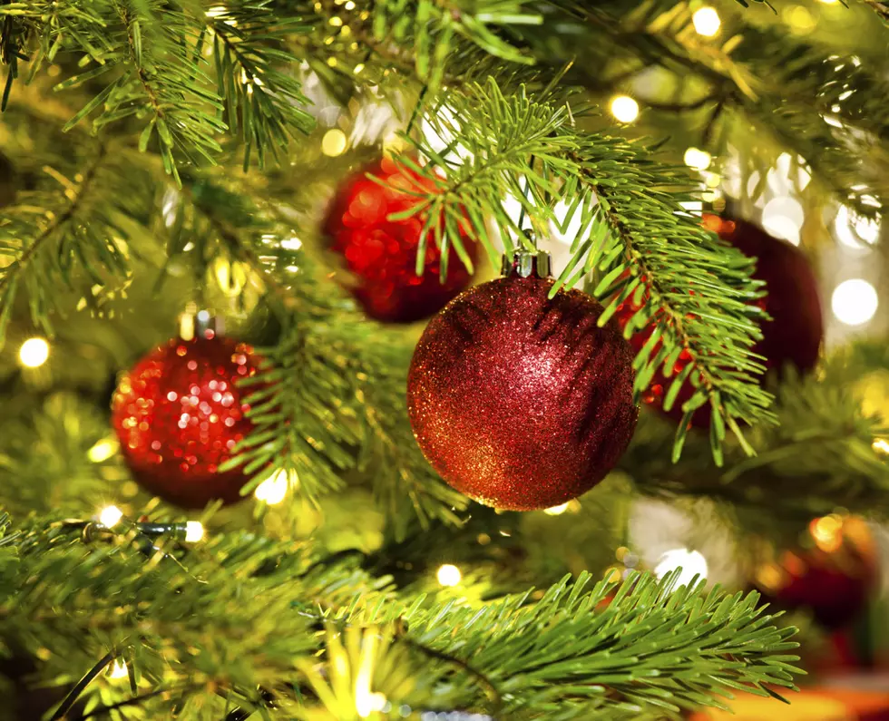 Bauble Ornament in a real Christmas tree
