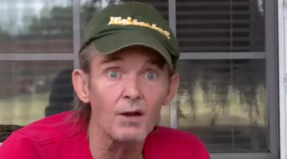Eyewitness Compares a Tree Falling on a Car to a Crushed Beer Can
