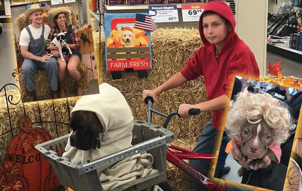 Iowa’s Favorite Dog Costume Contest Is This Sunday at Theisen’s
