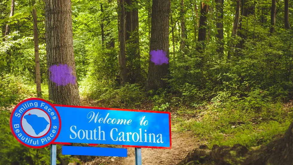 If You See Purple Paint in South Carolina, Turn Around And Leave