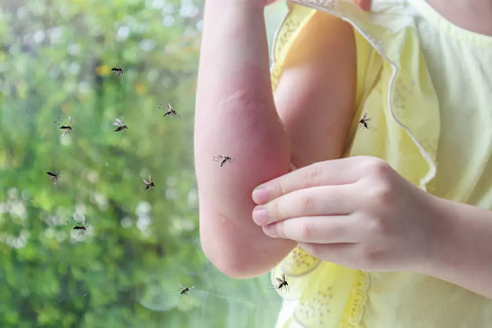 Iowa, Here’s The Real Trick To Keeping Bugs Off Of You This Summer